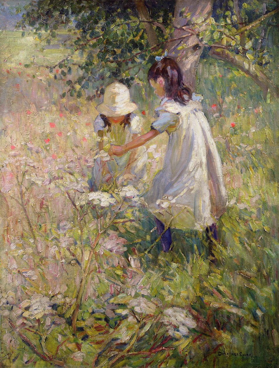  de Dorothea Sharp