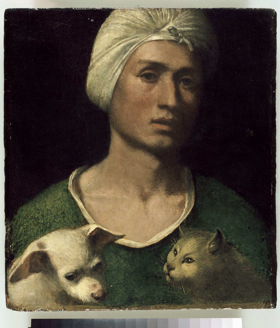 Retrato, de, um, homem jovem, com, um, cão, e, um, gato de Dosso Dossi