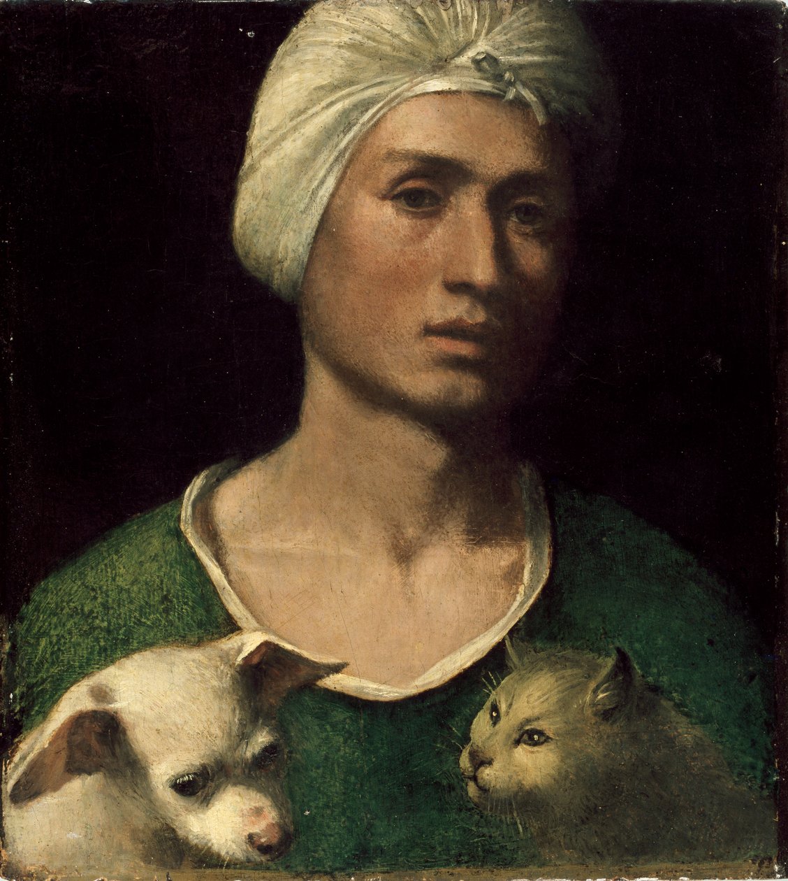 Retrato de um jovem segurando um cachorro e um gato, década de 1530 de Dosso Dossi