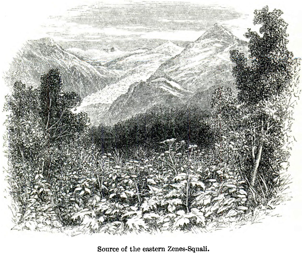 Fonte do eastaren Zenes-Squali viaja no centro do Cáucaso e Bashan de Douglas William Freshfield