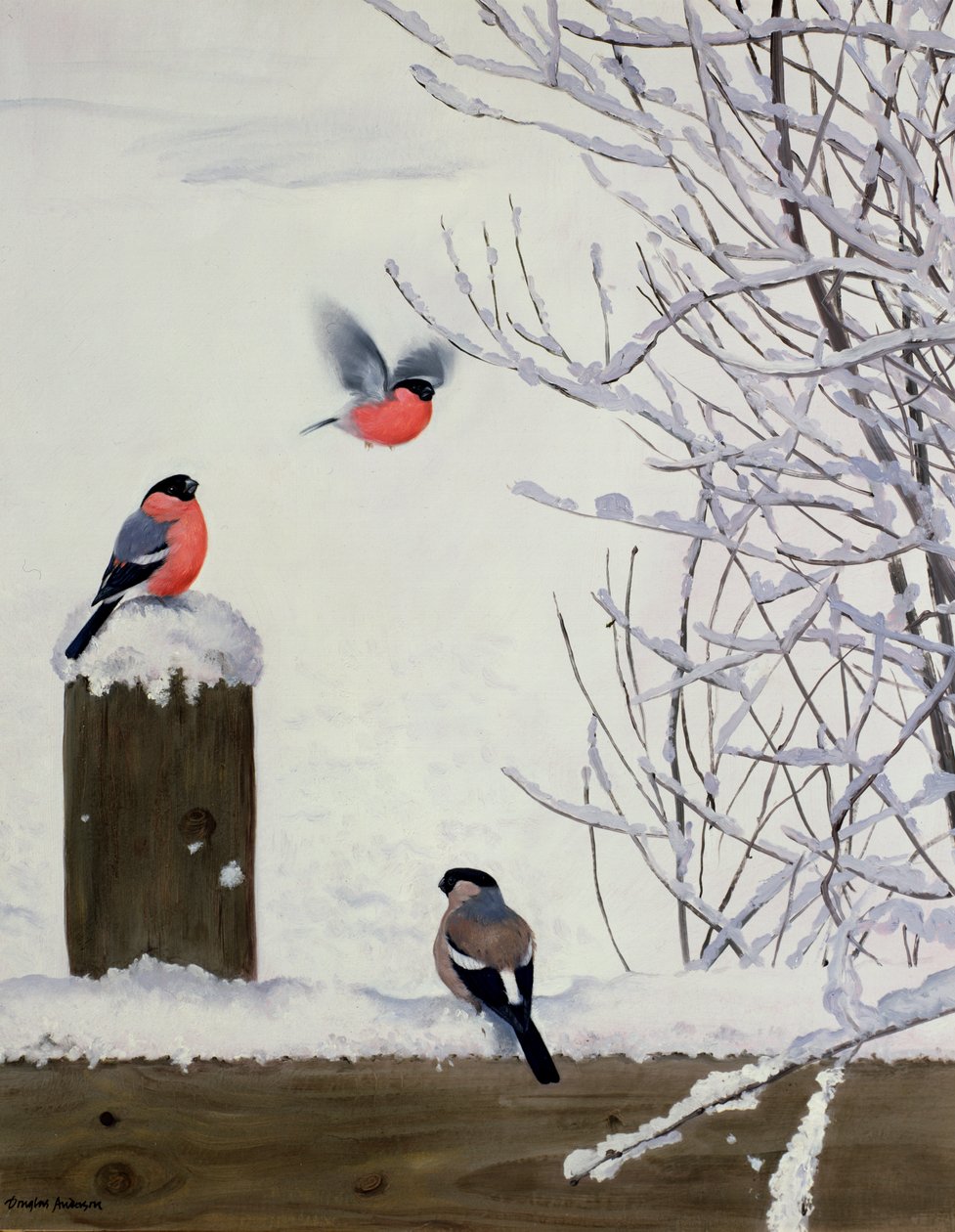 Pintassilgos numa vedação com neve de Douglas Anderson