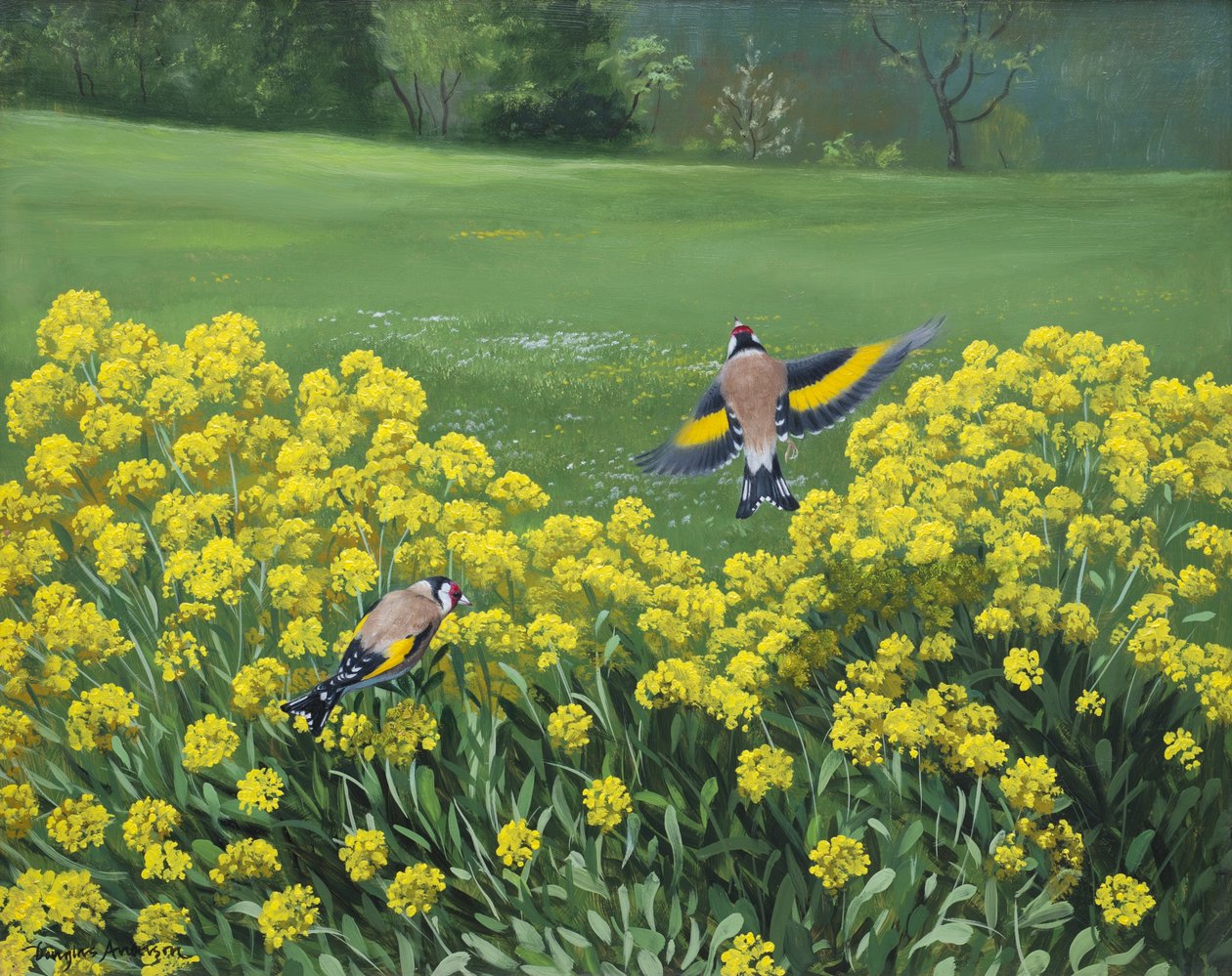 Pintassilgos, 2000 (óleo sobre tábua) de Douglas Anderson