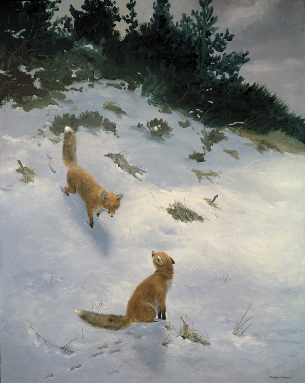 Amor à Primeira Vista, Raposas na Neve de Douglas Anderson