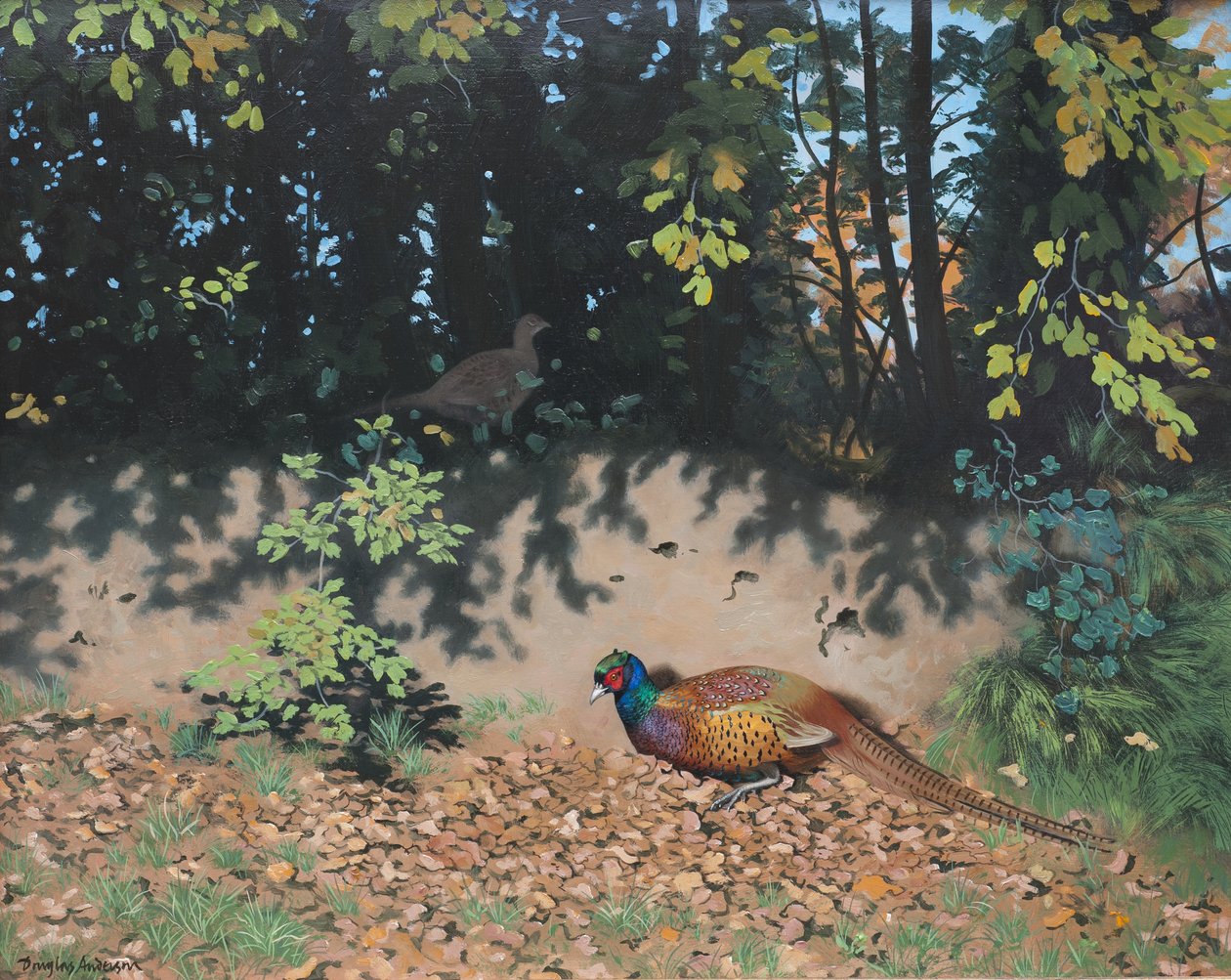 Faisão empoeirado ao sol de outono, 2000 (óleo sobre tábua) de Douglas Anderson