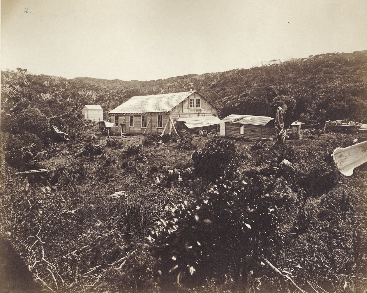 O trânsito alemão da expedição de Vênus, Ilhas Auckland, 1874-75 (impressão de albume) de Dr. Guido Wolfram