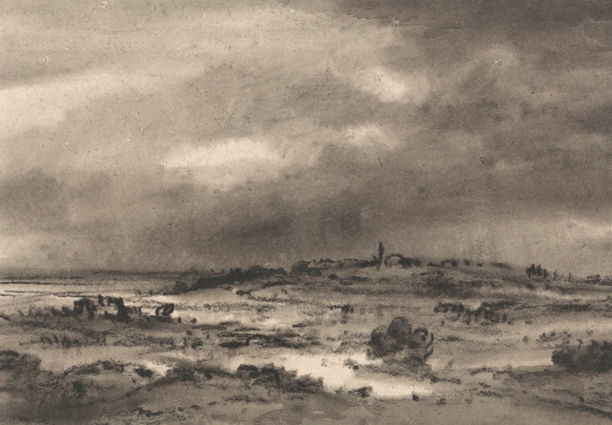 Composição: Paisagem dos pântanos de Dr. Thomas Monro
