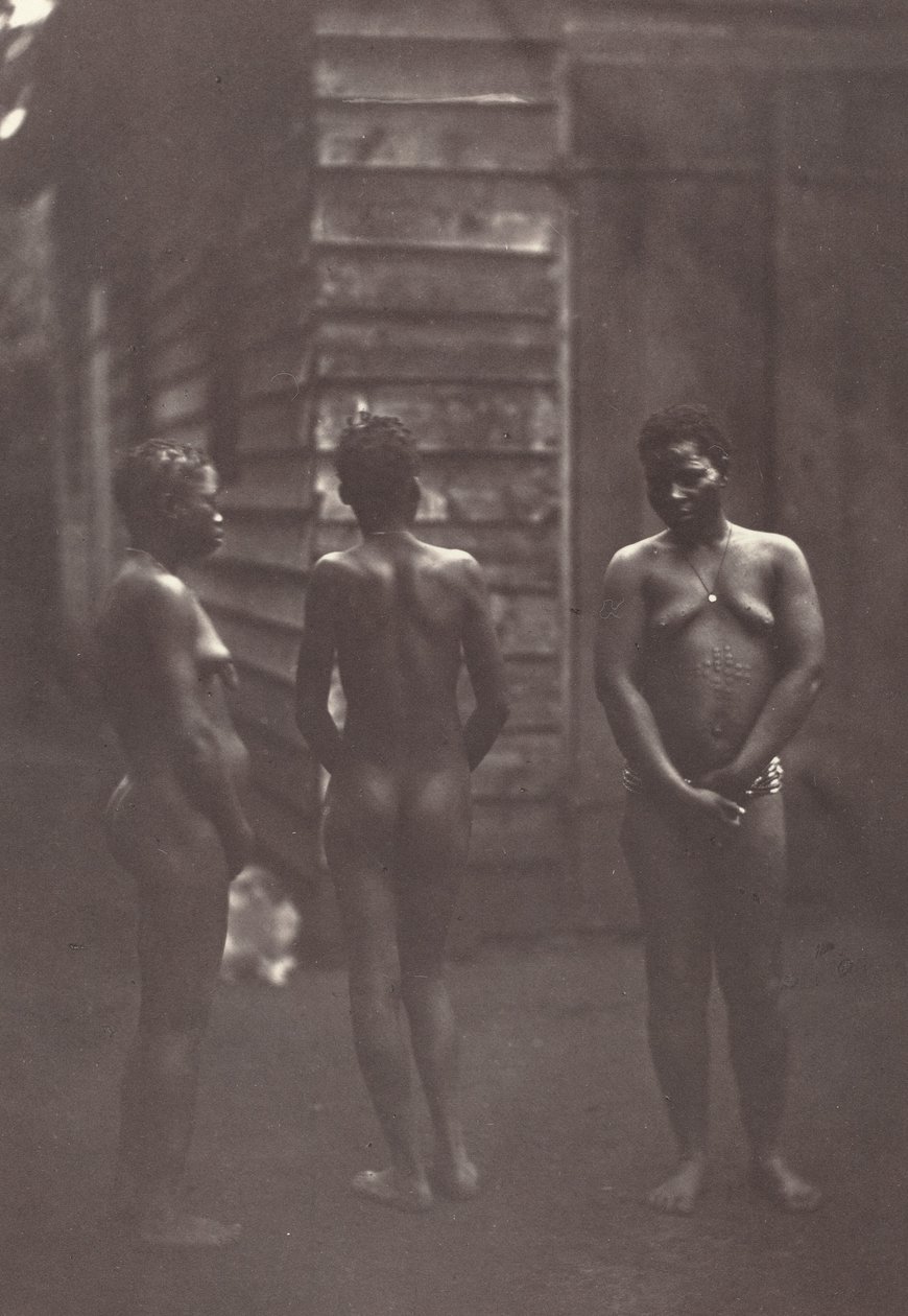 Três mulheres malgaxes Placa 30, 1863. de Désiré Charnay