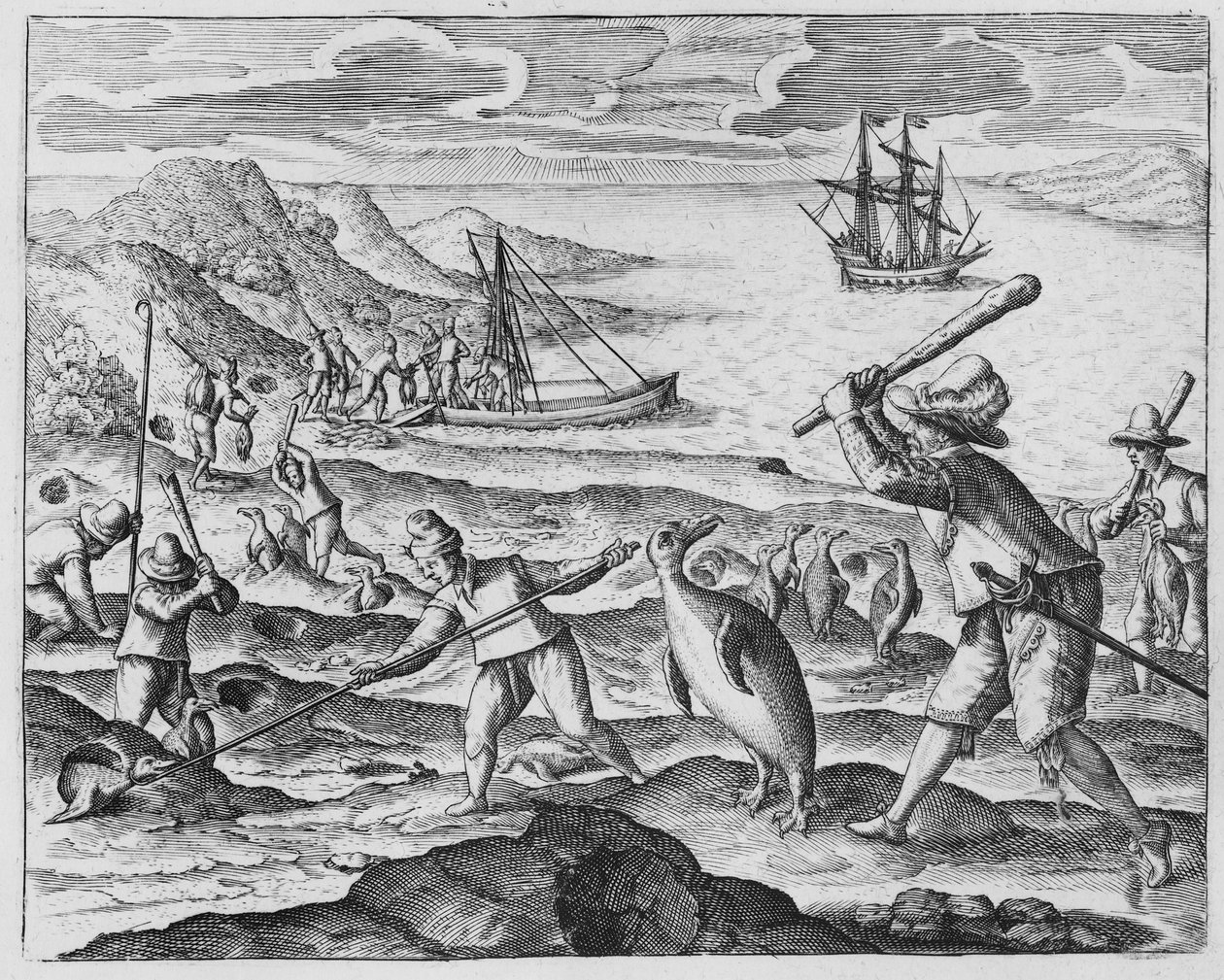 Caça aos pinguins, 1598 de Dutch School