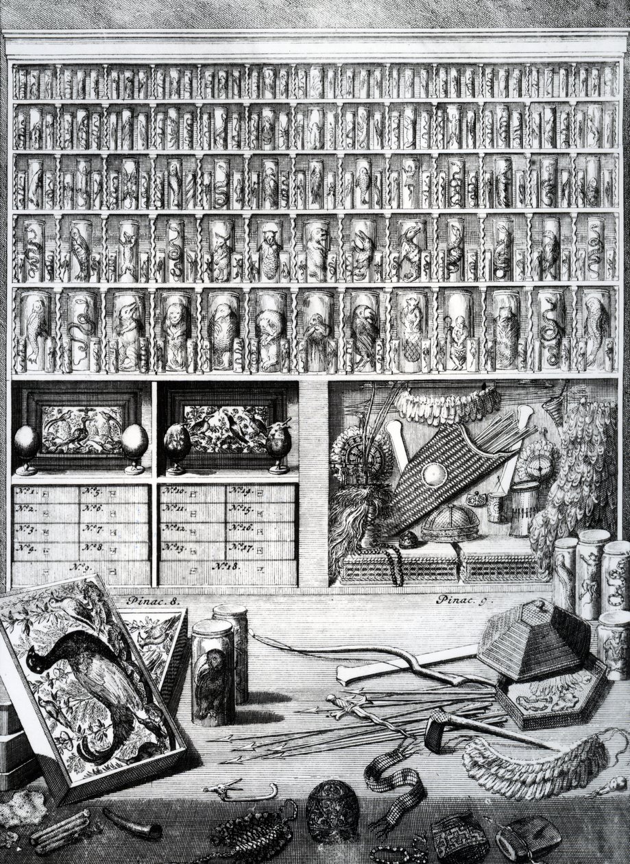 Tabela 5 da &39;lista Tabelas "por Levin St. Vincent, publicado 1719 de Dutch School