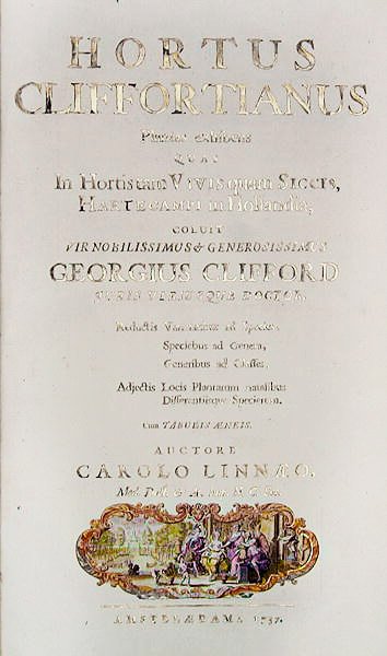 Página de título de Hortus Cliffortianus por Carl Linnaeus (1707-78) Amsterdã, 1737 (impressão) de Dutch School