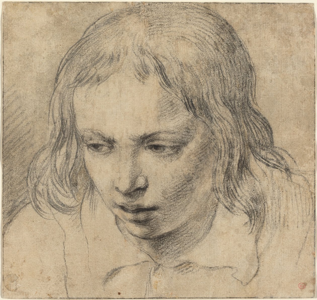 Cabeça de um jovem [reto] de Dutch 17th Century