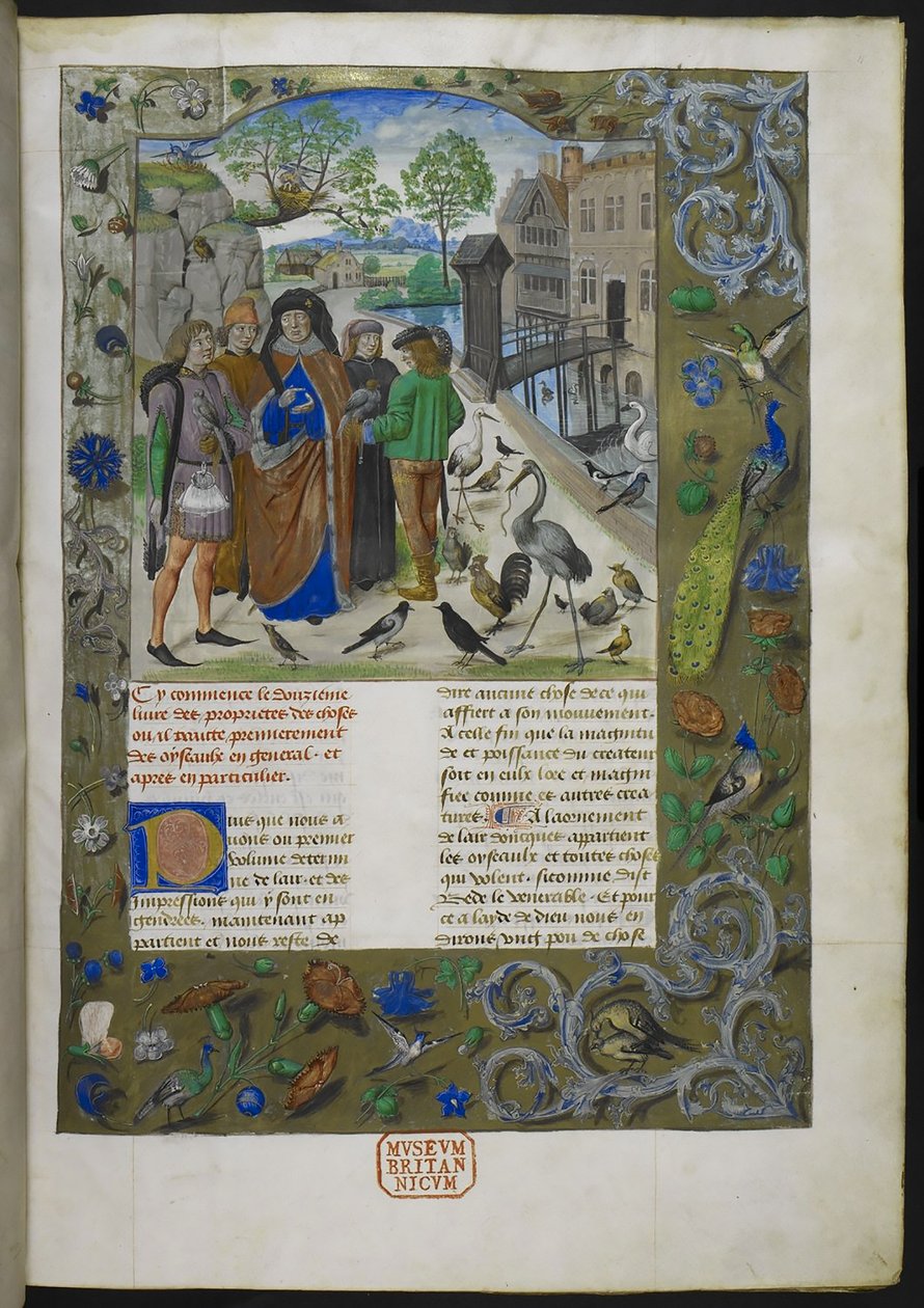 Bartholomaeus Angelicus, de De proprietatibus rerum em francês (Livre des proprietez des chooses), Royal 15 E III, f. 11 de Dutch School