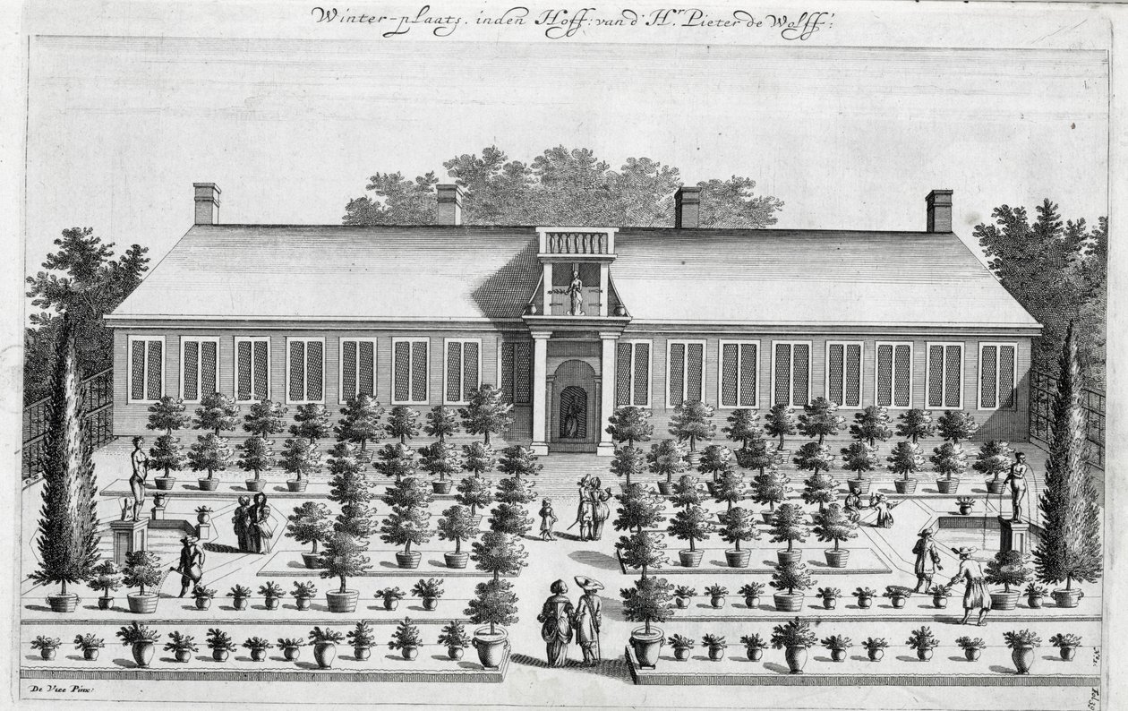 Jardim holandês, de De Nederlandze Hespérides por Jan Commelin, publicado em 1676 de Dutch School