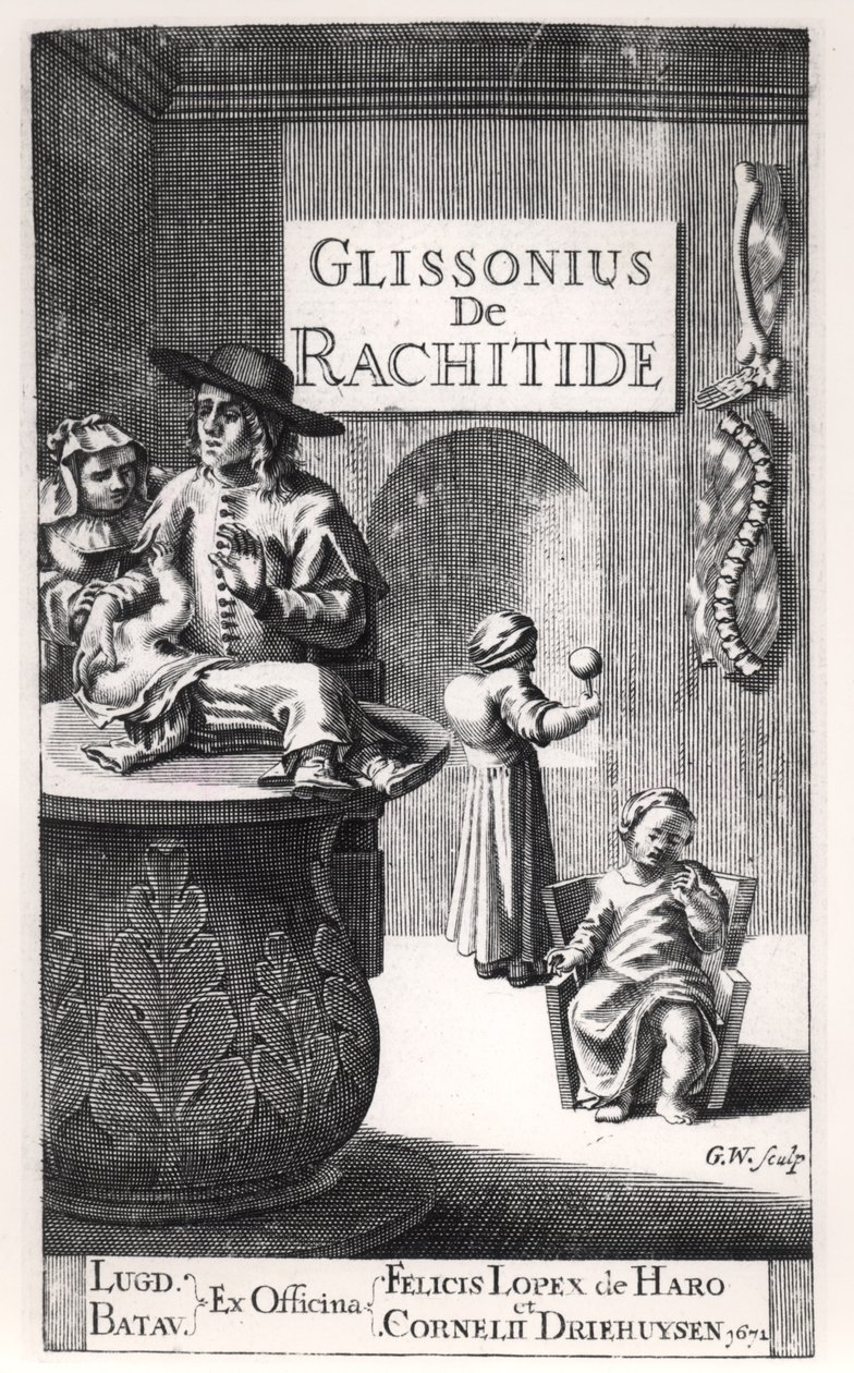 Francis Glisson (1597-1677) publicou em Leiden, 1671 de Dutch School
