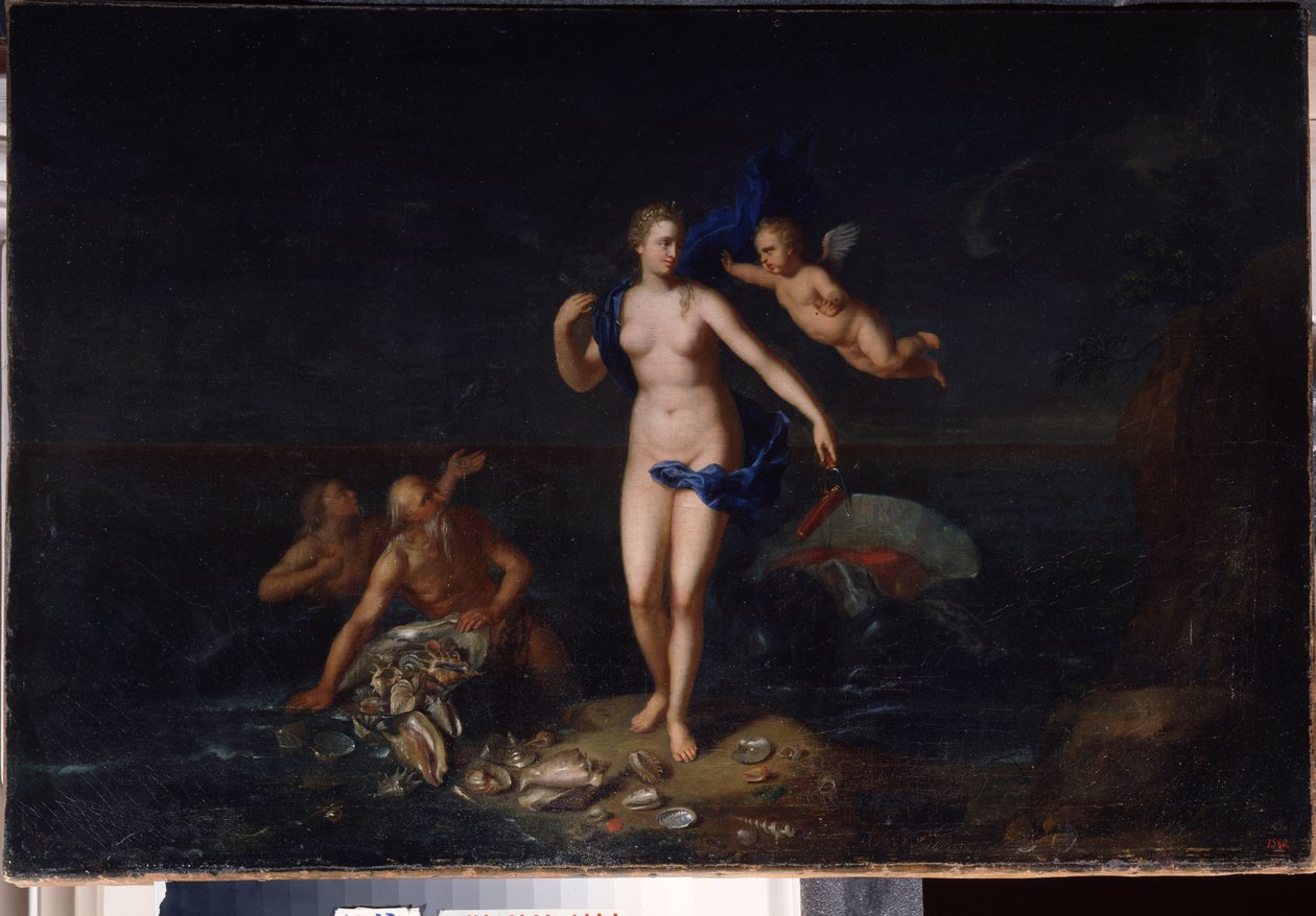 "" O Nascimento de Vênus "" (Nascimento de Vênus) Anônimo do século 18 pintura da escola holandesa 1729 Museu do Estado ao Ar Livre Palácio Gatchina, São Petersburgo, Rússia de Dutch School