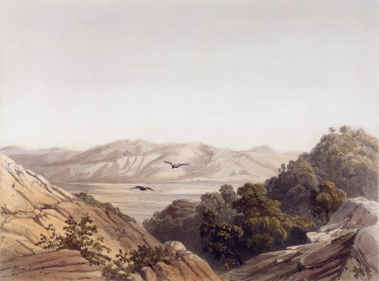 Monte Carmelo, Israel, gravado por L. A Sabatier de Dutch School
