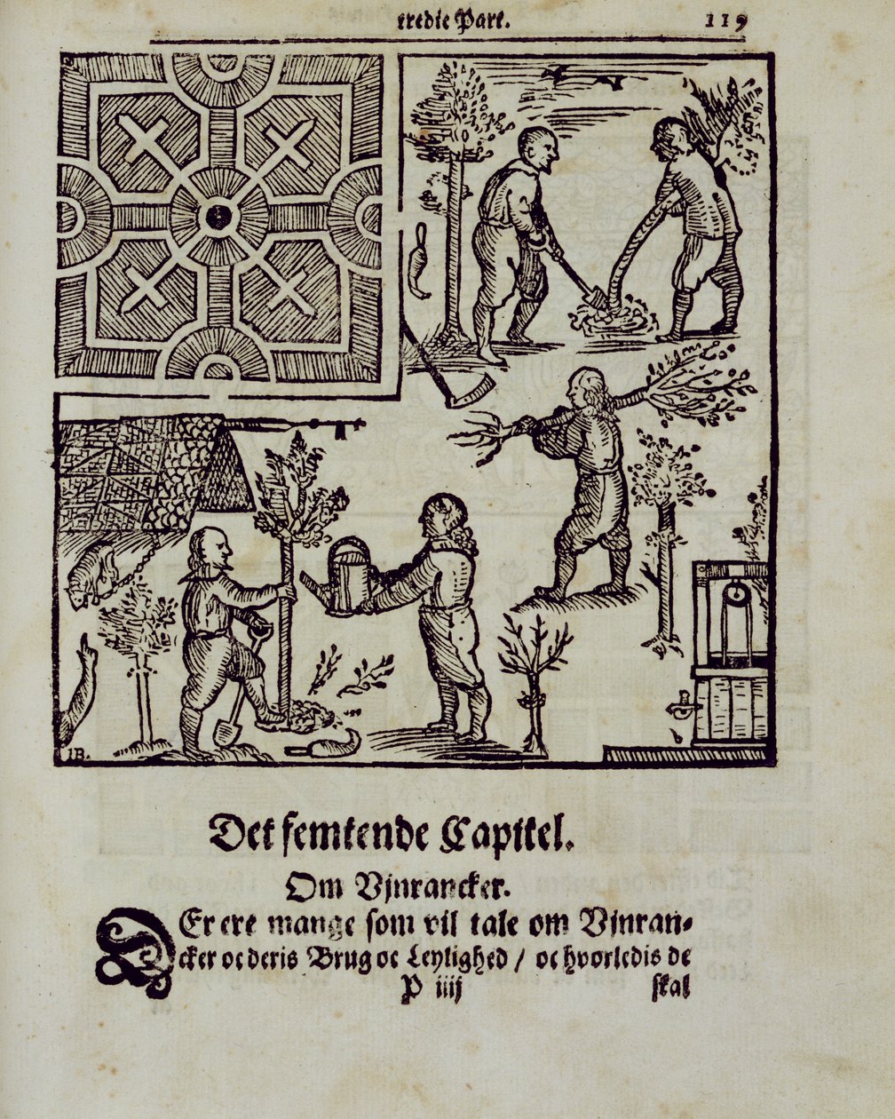 Plantar árvores, de The Dutch Gardener, de Johann van der Groen, publicado em 1699 de Dutch School