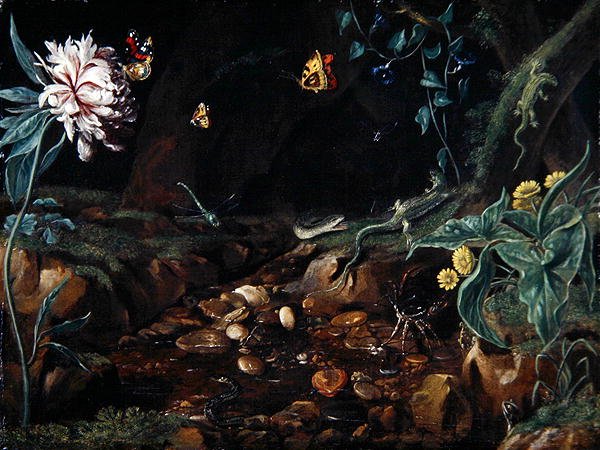 Corrente em uma dell com flores e répteis (óleo sobre tela) de Dutch School