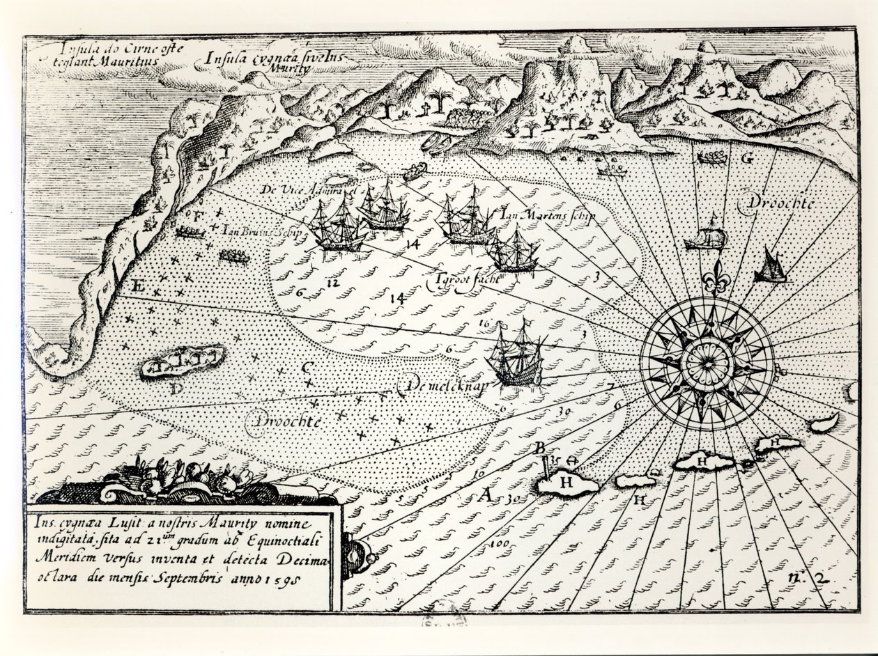 Chegada do Vice-almirante Wybrandt Van Warwijcks Flotilha no Porto Sudeste da Ilha Maurícia em setembro de 1598 de Dutch School