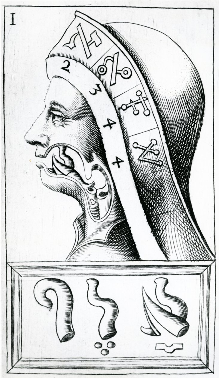 Movimentos da garganta utilizados na pronúncia do alfabeto hebraico, ilustração de Alphabetum Natura (Alfabeto da Natureza) por FM van Helmont, 1667 de Dutch School