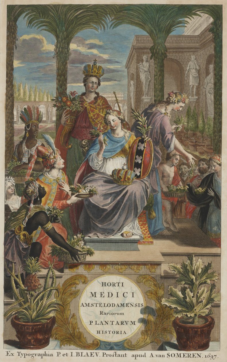 Página de título de "Horti Medici Amstelodamensis Rariorum Plantarum Historia" vol. I, de Jan Commelin de Dutch School