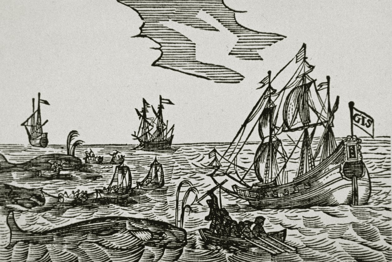 Navios baleeiros, de Jacob Segersz van der Brugge