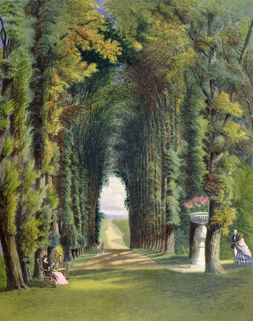 Vista nos jardins de Teddesley, de &39;jardins da Inglaterra&39;, publicado em 1857 de E. Adveno Brooke