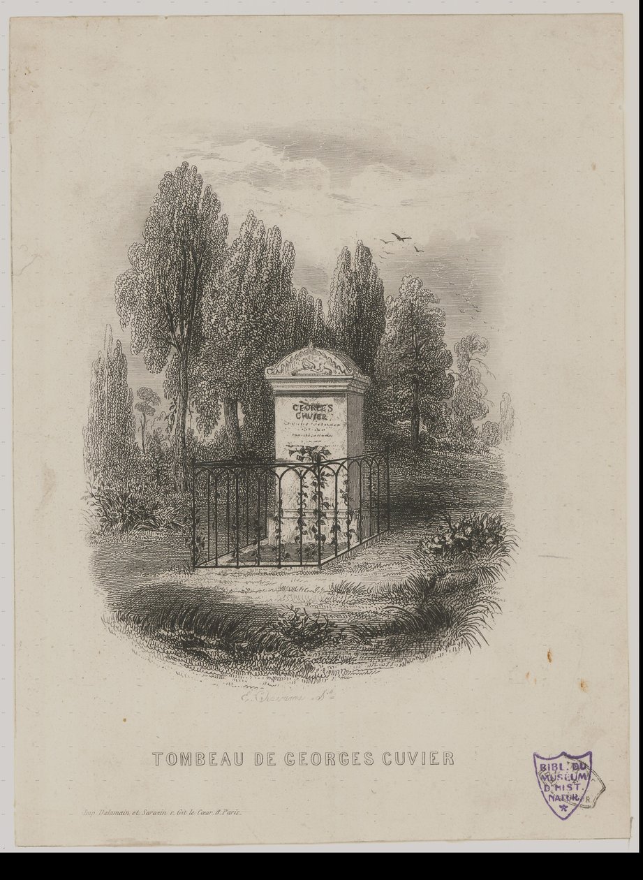 Túmulo de Georges Cuvier de E. Chavanne