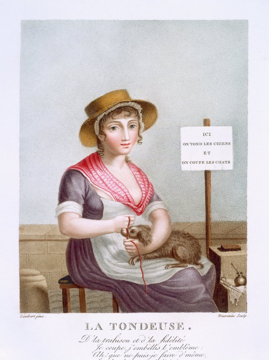 O clippers, c.1816 de E. F. Lambert