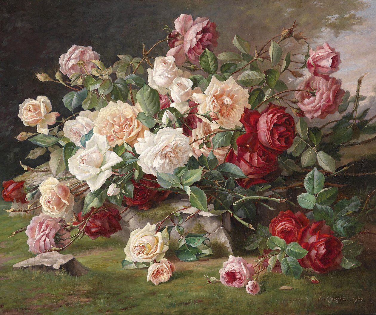 Rose Still Life de E. Hariel