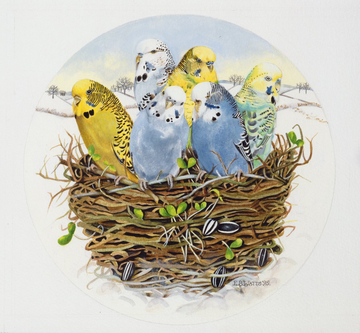 Periquitos em um ninho, 1995 (acrílico) de E.B. Watts