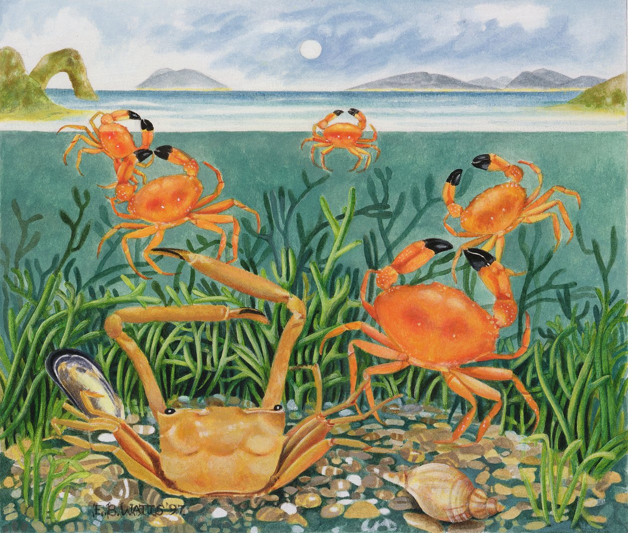 Caranguejos no Oceano, 1997 (acrílico sobre papel) de E.B. Watts
