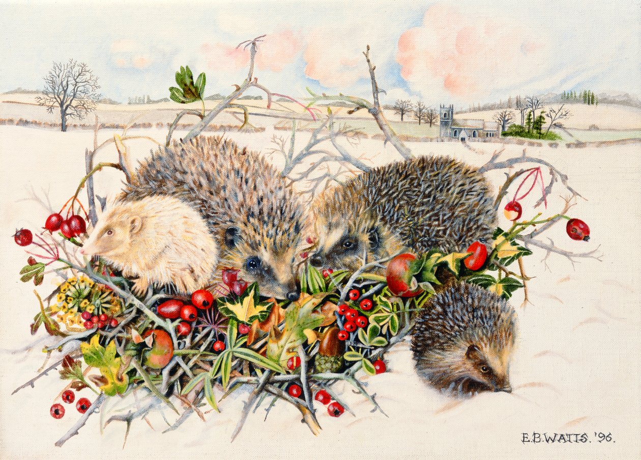 Ouriços em Hedgerow Basket, 1996 (acrílico sobre tela) de E.B. Watts