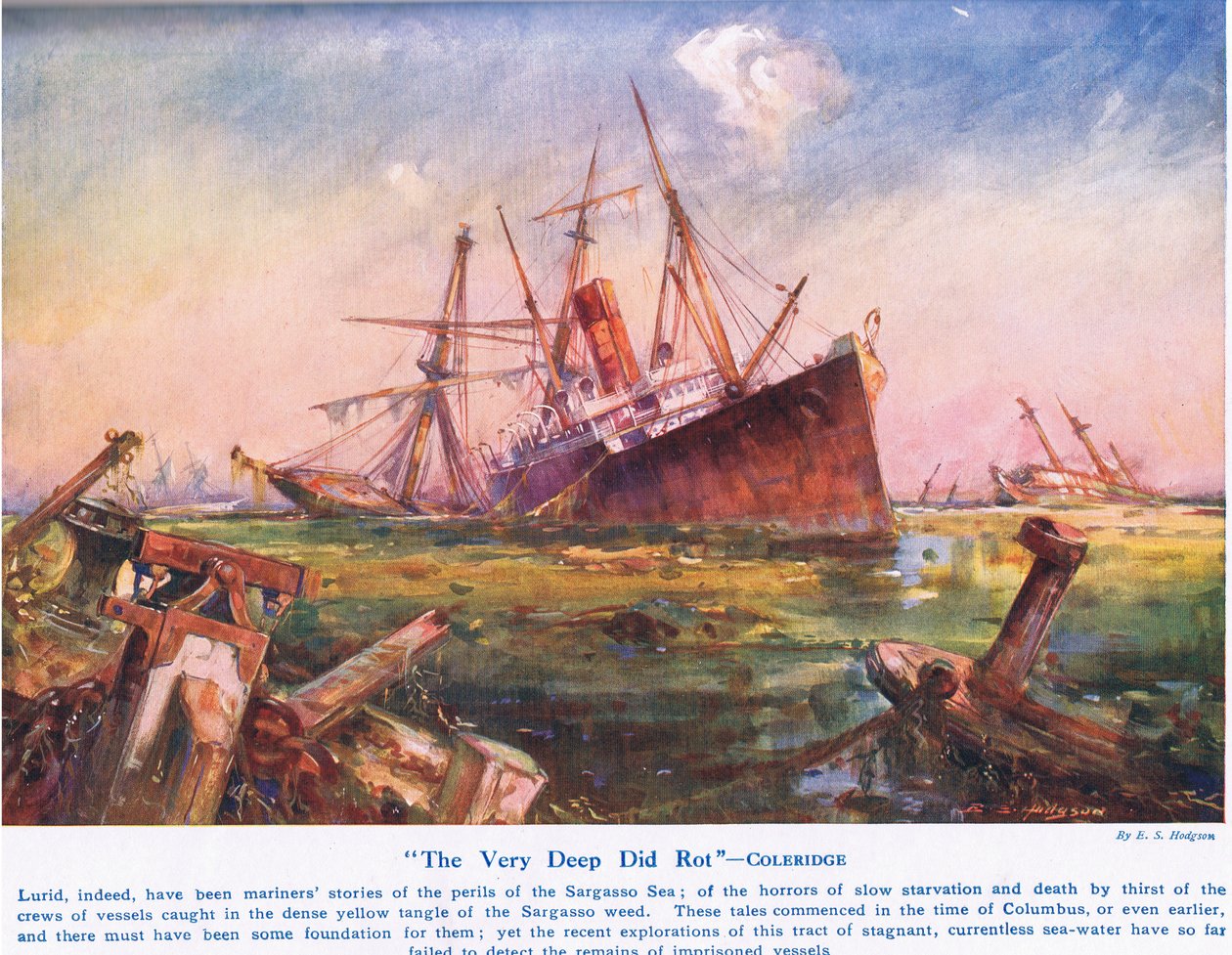 &39;The Very Deep Did Rot&39; de E.S. Hodgson
