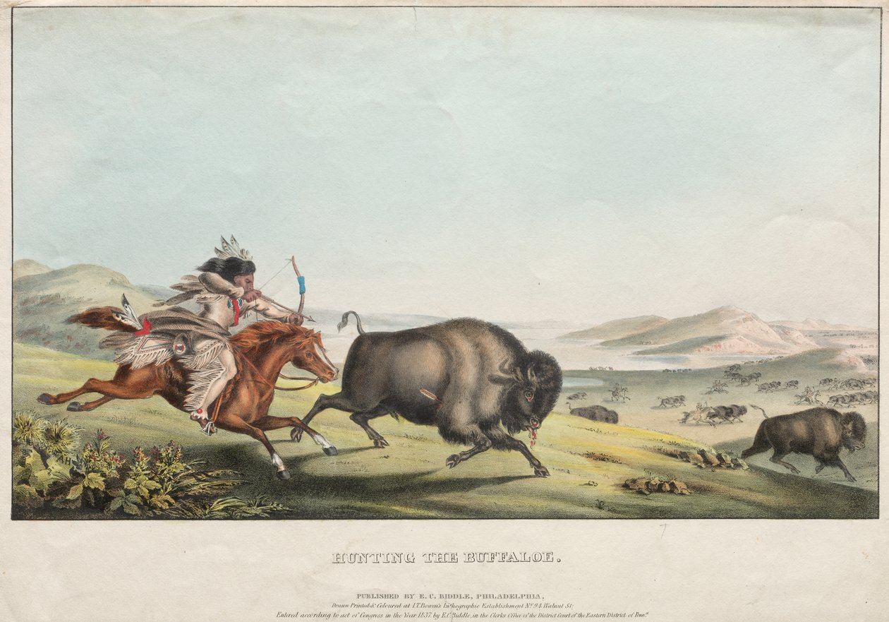 Caçando o Búfalo de E. C. Biddle