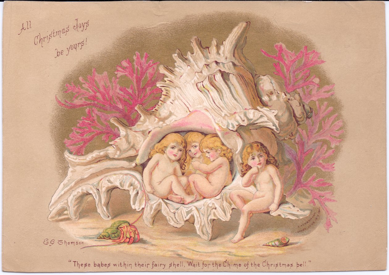Um cartão de Natal vitoriano de quatro bebês aquáticos sentados dentro de uma concha do mar Ramose Murex, contra um fundo de coral e um eremita dentro de sua concha,l de Gertrude Thompson, c.1895 (lito colorido) de E. Gertrude Thompson