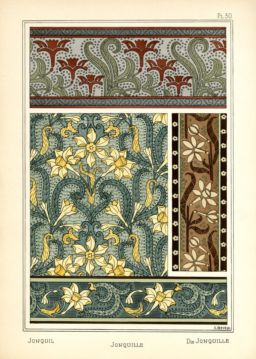 O Jonquil de E. Hervegh