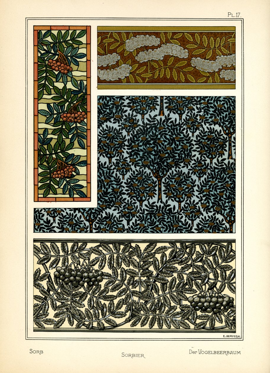 O Sorb de E. Hervegh
