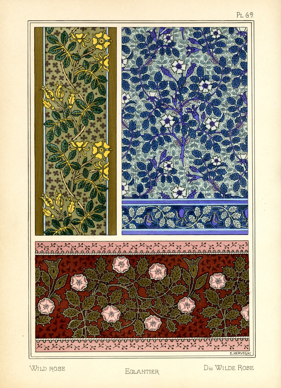 A rosa selvagem de E. Hervegh