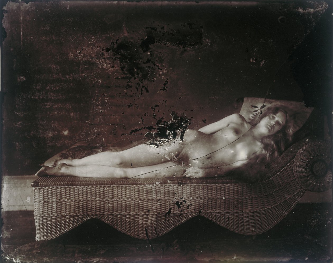 Sem título, c.1911-13 (impressão em prata) de E. J. Bellocq