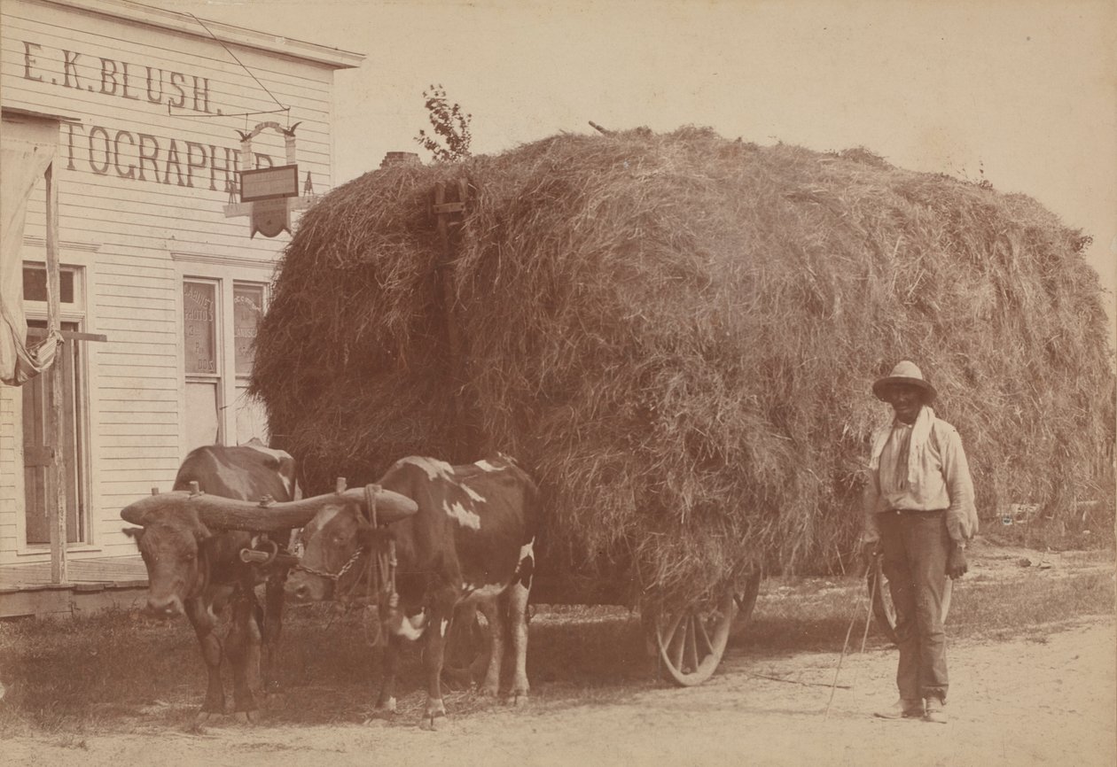 Impressão albúmen de um homem com uma carroça de feno cheia, 1894-1904. de E. K. Blush
