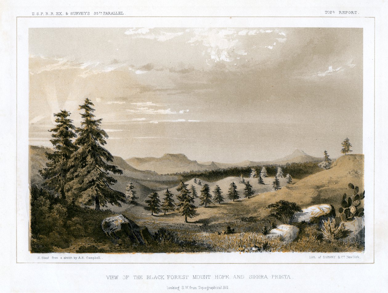 The Black Forest Mount Hope e Sierra Prieta, EUA, 1856. de E Stout