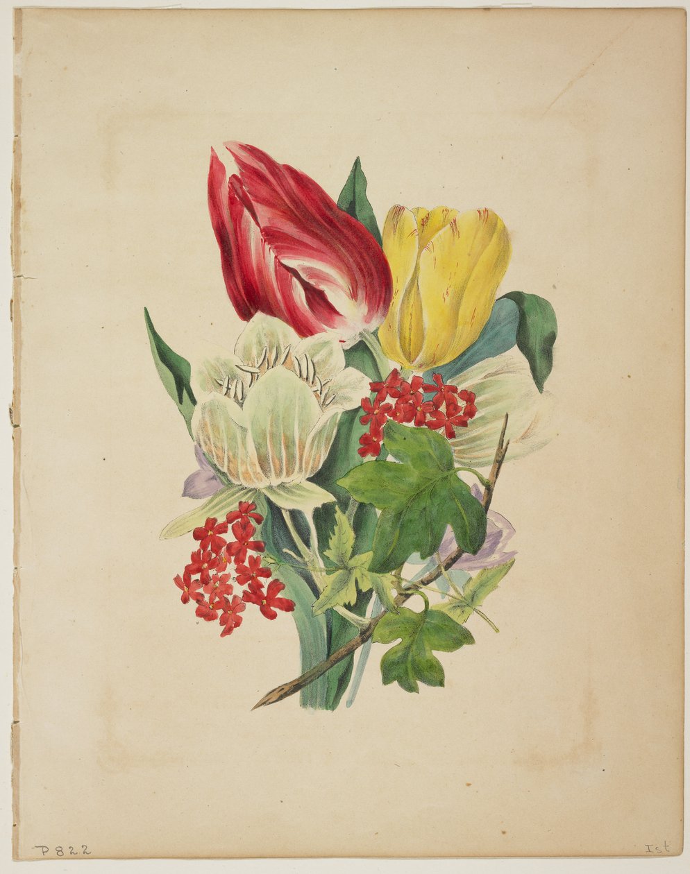 Buquê de tulipas, do Dicionário Flora, 1838 de E. W. Wirt