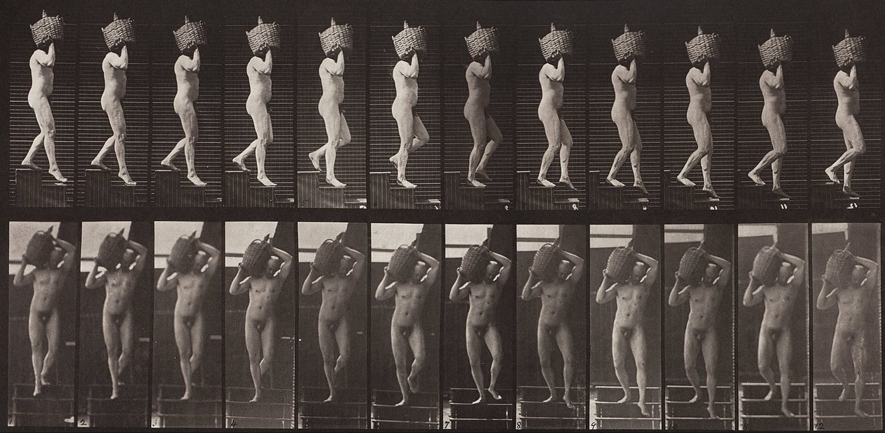 Locomoção Animal, Placa 136 de Eadweard Muybridge