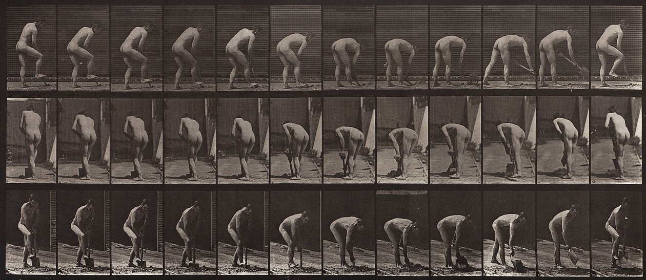 Locomoção de Animais, Placa 388 de Eadweard Muybridge