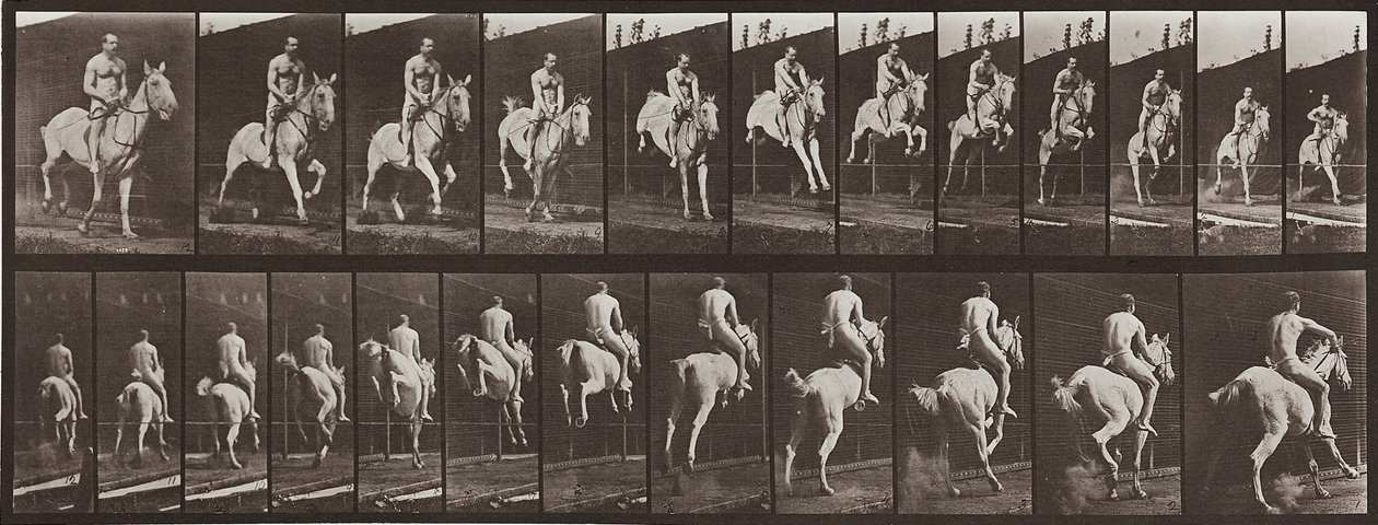 Locomoção Animal, Placa 646 de Eadweard Muybridge