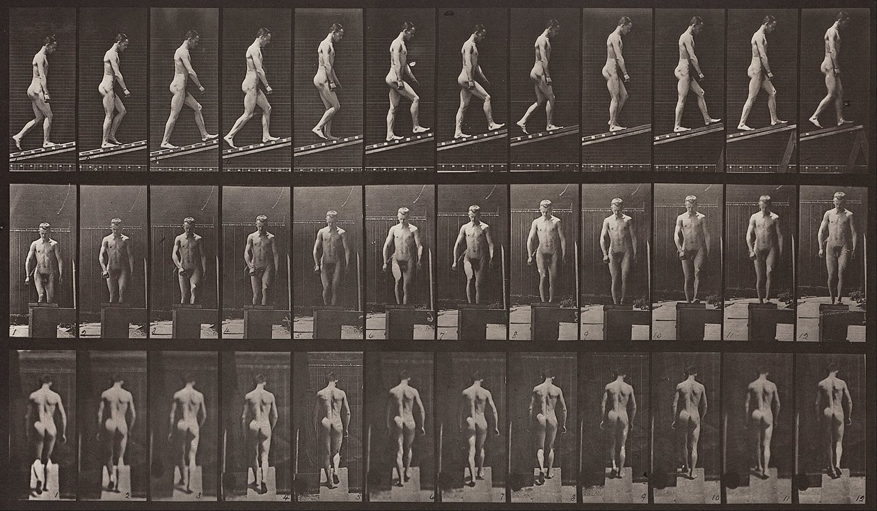 Locomoção de Animais, Placa 74 de Eadweard Muybridge