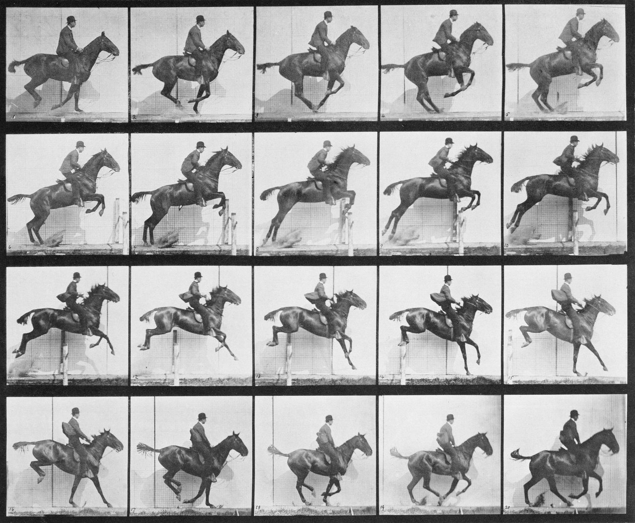Homem, e, cavalo, pular, um, cerca, prato, 640, de, &39;Animal, locomotion&39;, 1887 de Eadweard Muybridge