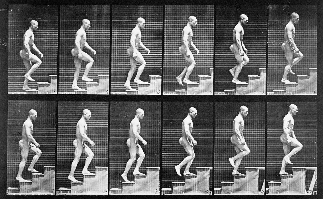 Homem subindo escadas, de &39;Animal Locomotion&39;, 1887 de Eadweard Muybridge