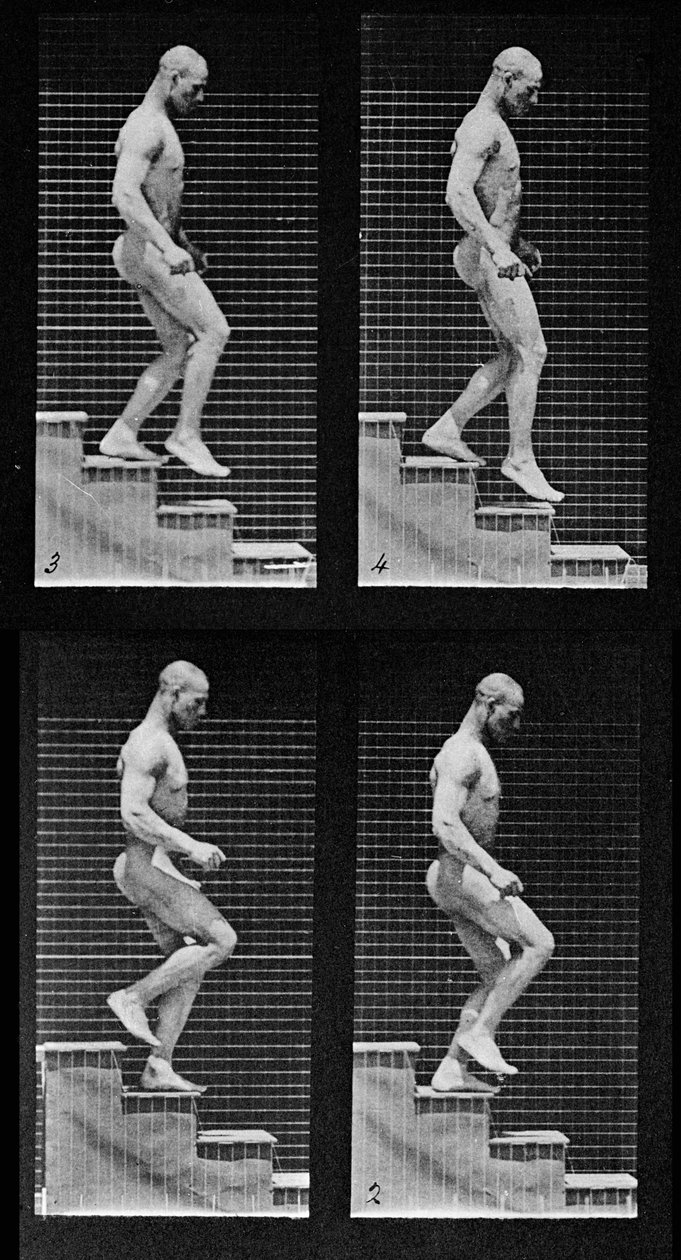 Homem descendo escadas, de &39;Animal Locomotion&39;, 1887 (detalhe de 425605) de Eadweard Muybridge